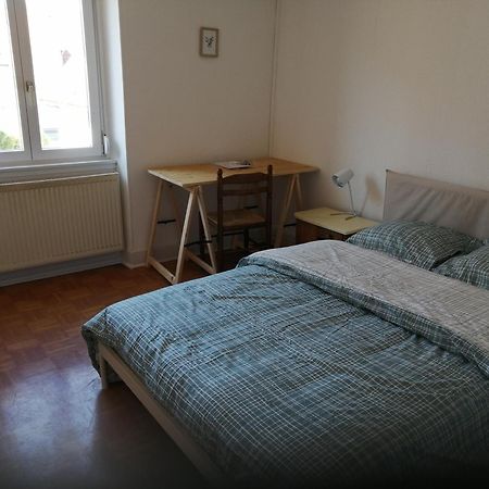 Appartement Entier, Proche Tram-Train Et Commodites, Parking Gratuit Mylhúzy Exteriér fotografie