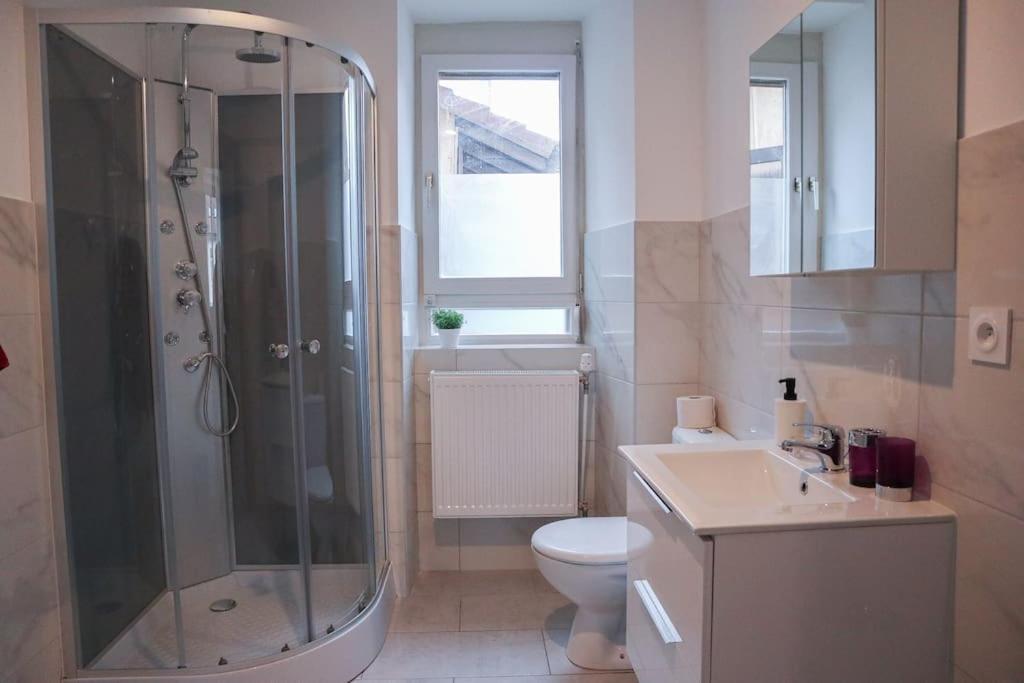 Appartement Entier, Proche Tram-Train Et Commodites, Parking Gratuit Mylhúzy Exteriér fotografie